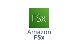 aws-fsx-service